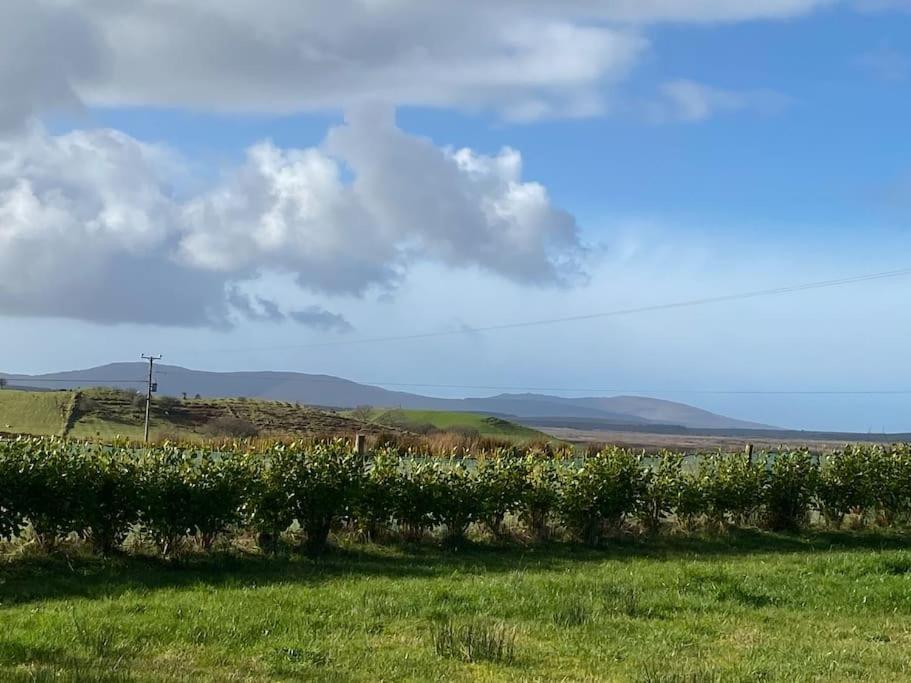 Country Cabin Mullagh  Екстериор снимка